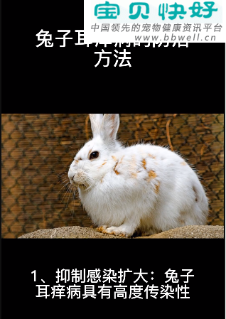 宠物健康科普视频：兔子耳痒病的防治方法