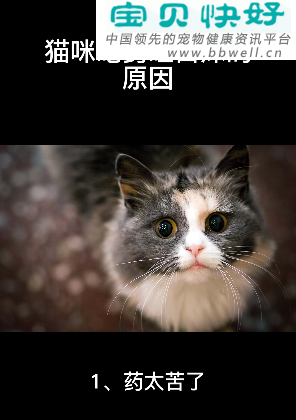 宠物健康科普视频：猫咪吃药吐白沫的原因